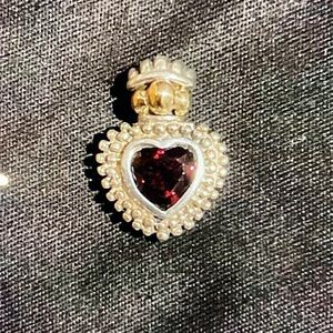 BJC Samuel B Behnam Garnet Heart